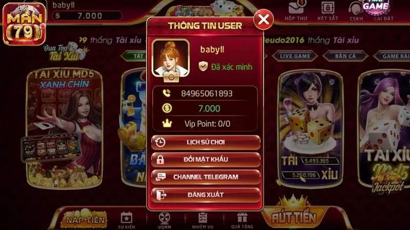 Thông tin người chơi sau khi đăng ký tài khoản ở cổng game